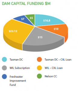pie chart of dam capital funding