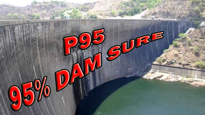 Waimea Dam P95 guarantee
