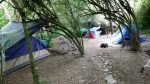 freedom camping Tasman